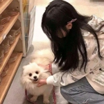 火狐官方网站下载手机版